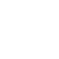 Chubb logo white