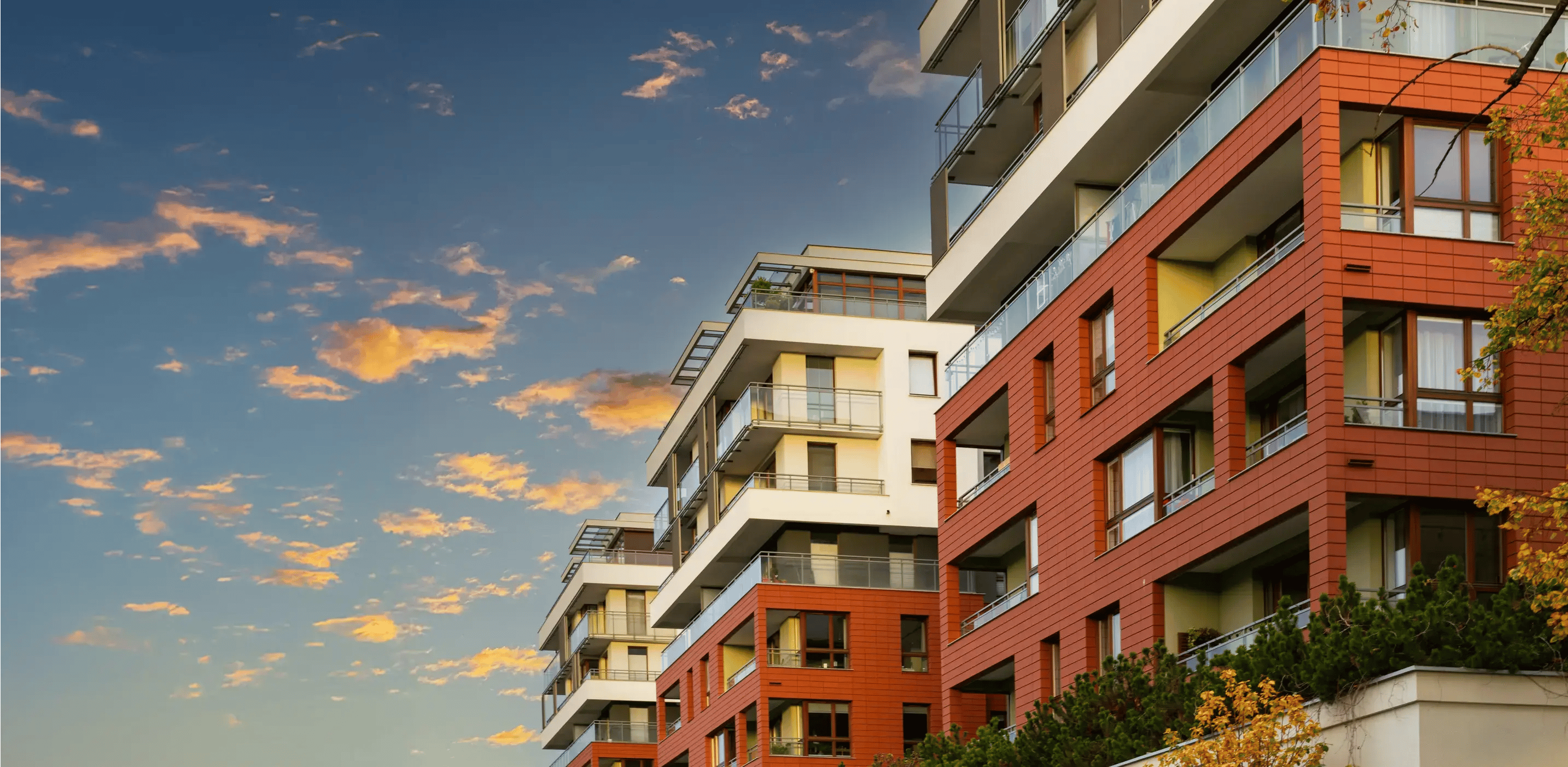 Firefly 20260202165200