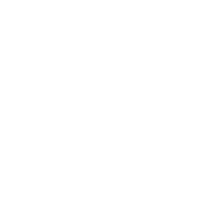 ICW Group logo white