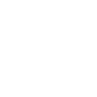 Professional Solutions logo white
