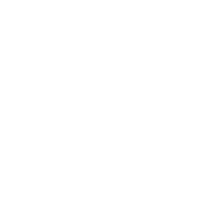 White EMC Logo