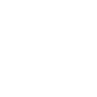 White Lincoln Financial Logo