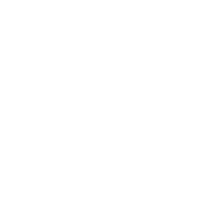 White New York Life Logo