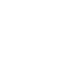 White VSP Logo