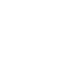 White Western National Logo
